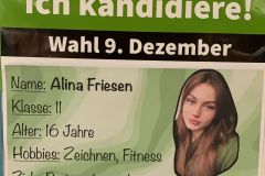 Wahlplakat-Alina