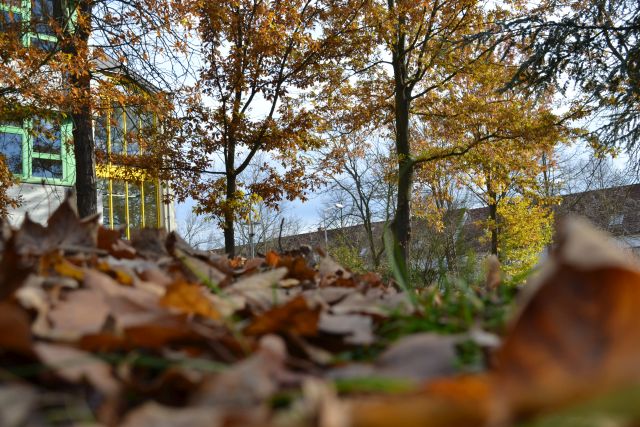 titel_herbst_2017_2 titel_herbst_2017_2