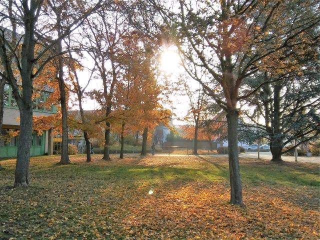 titel_herbst_2018 titel_herbst_2018
