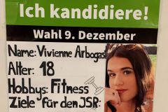 Wahlplakat-Vivienne