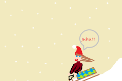 Weihnachtsgrüsse_2015_0142