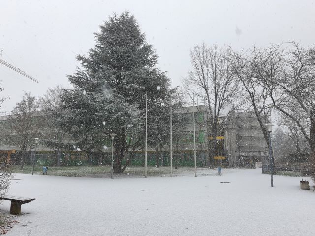 igs_sp_titel_weis_2024