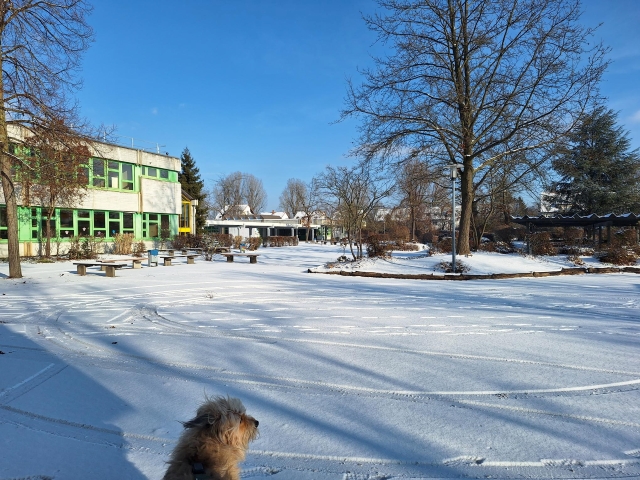 igs_sp_titel_winter_2026